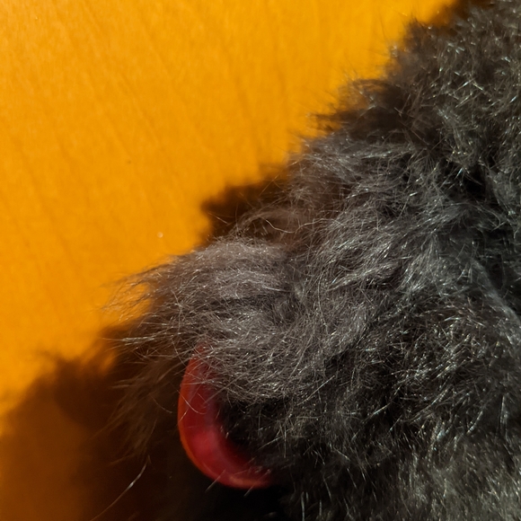 Andrew Marc New Zealand Opossum Fur Vest Dark Brown/Black Leather Collar Medium - Picture 8 of 8